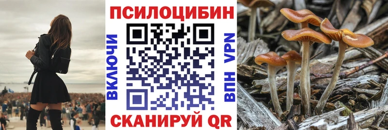 Галлюциногенные грибы Cubensis  Купить  Аша 